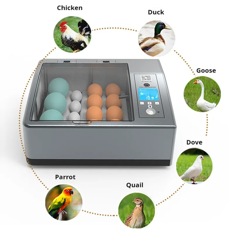 حاضنة بيض ذكية صغيرة للاستخدام المنزلي التلقائي بالكامل لبيض السمان والدجاج والبط والأوز مع كاندلر مزدوج القوة باللون الرمادي