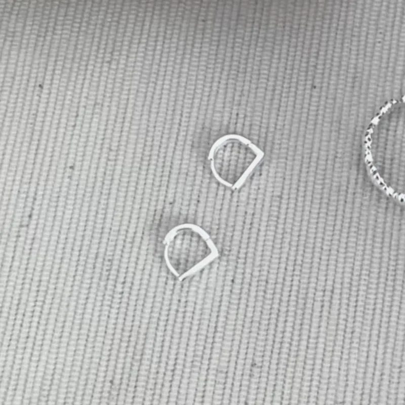 Small Simple 925 Sterling Silver English Letter D-shaped Hoop Earrings for Women Minimalist Jewelry Accessories Gifts Colorfast