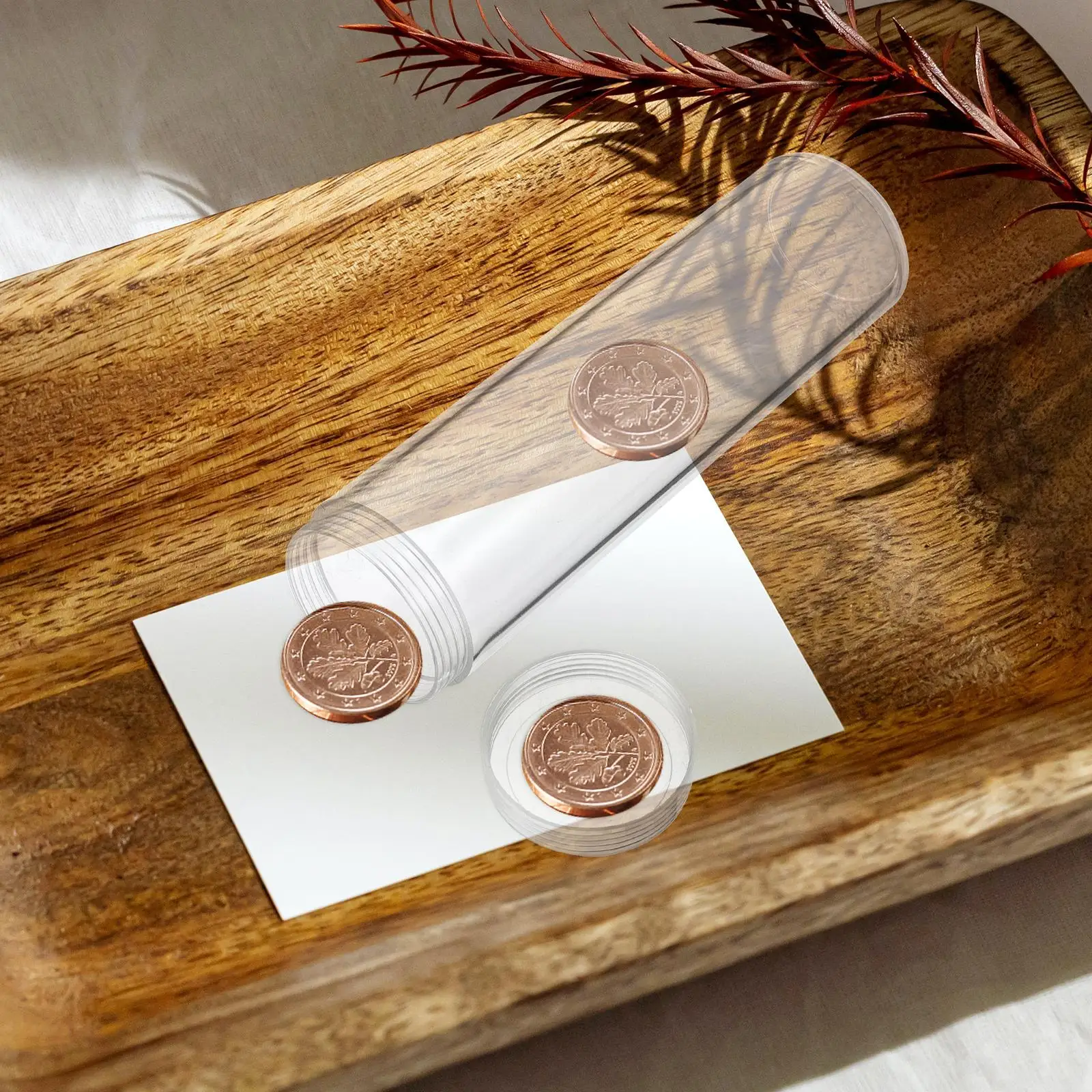 10pcs Coin Holder Protectors Clear Plastic Tubes for Coin Collection Supplies Diameter 25mm Storage Container Organizer