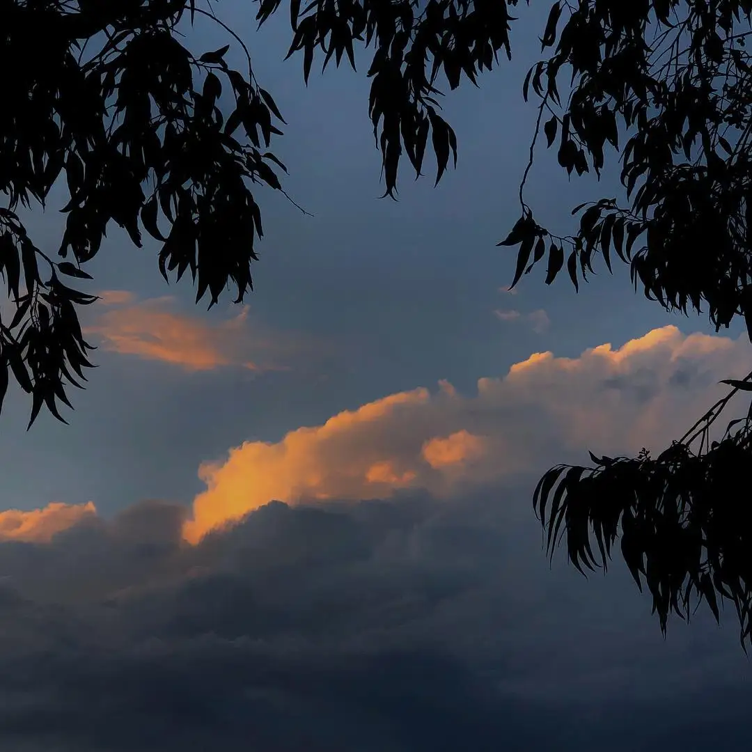 

Для MJX R/C Hyper Go H12Y H12Y + 1/12 RC Гусеничный/грузовик Оригинальные запасные части Подборка переднего моста/подборка задней оси