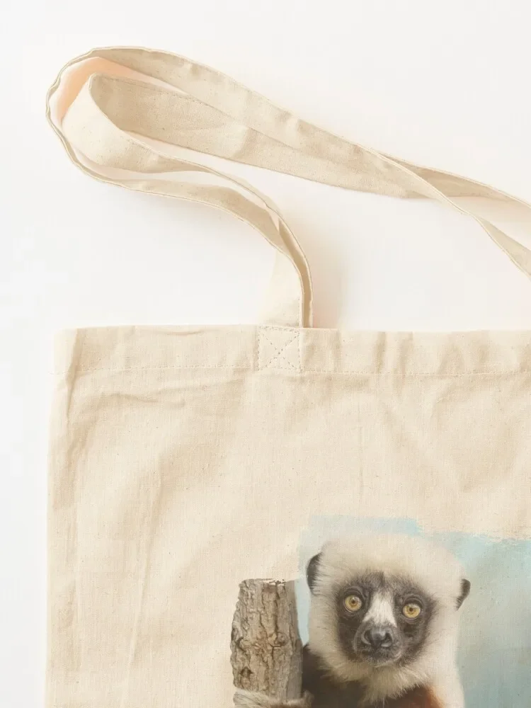 مدغشقر سيفكا ليمور حمل حقيبة الشاطئ حقيبة حمل حقيبة القماش امرأة حمل الجامعة