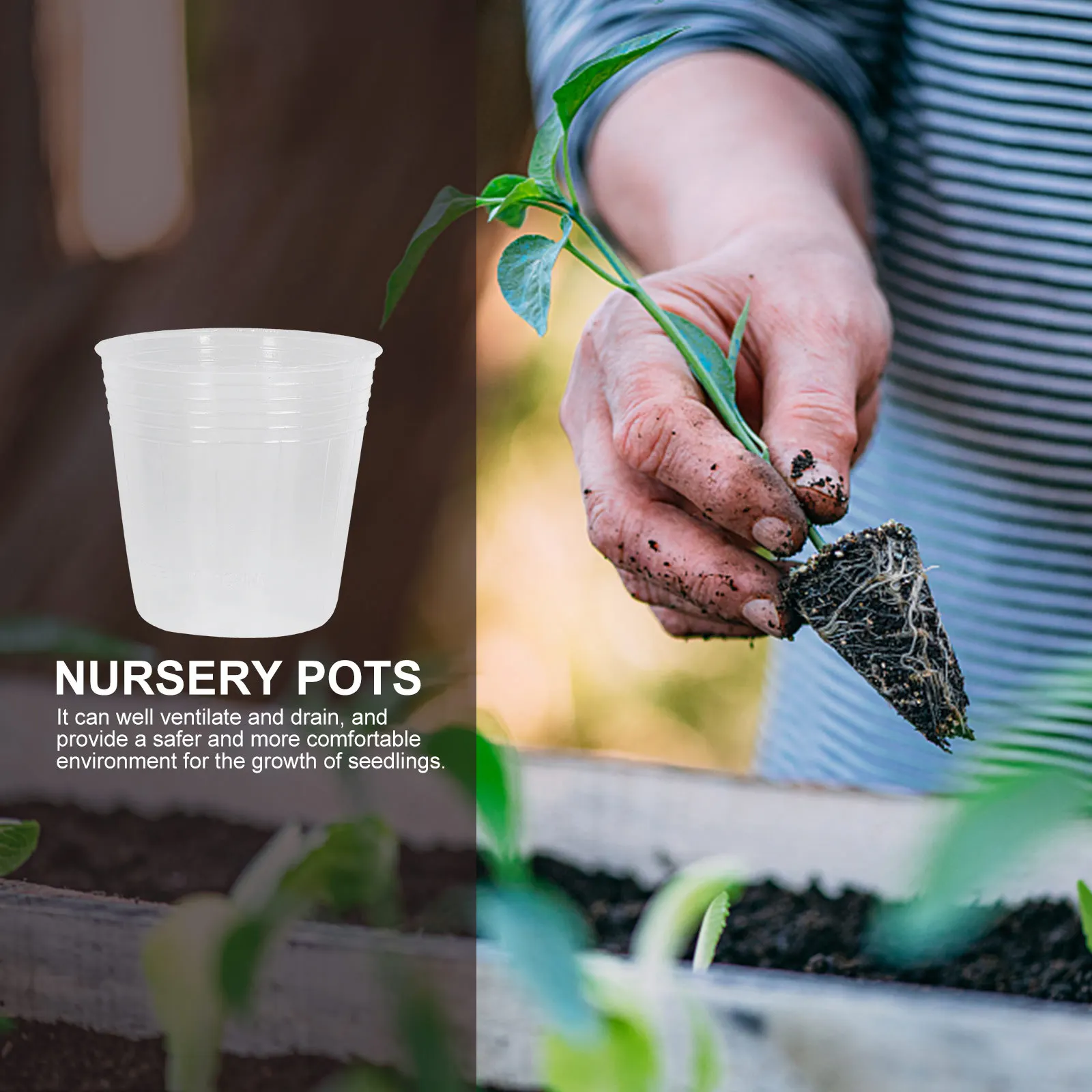 

36Pcs Transparent Plant Nursery Cups Durable Plastic Seed Starter Pots Practical Containers for Orchids African Violets