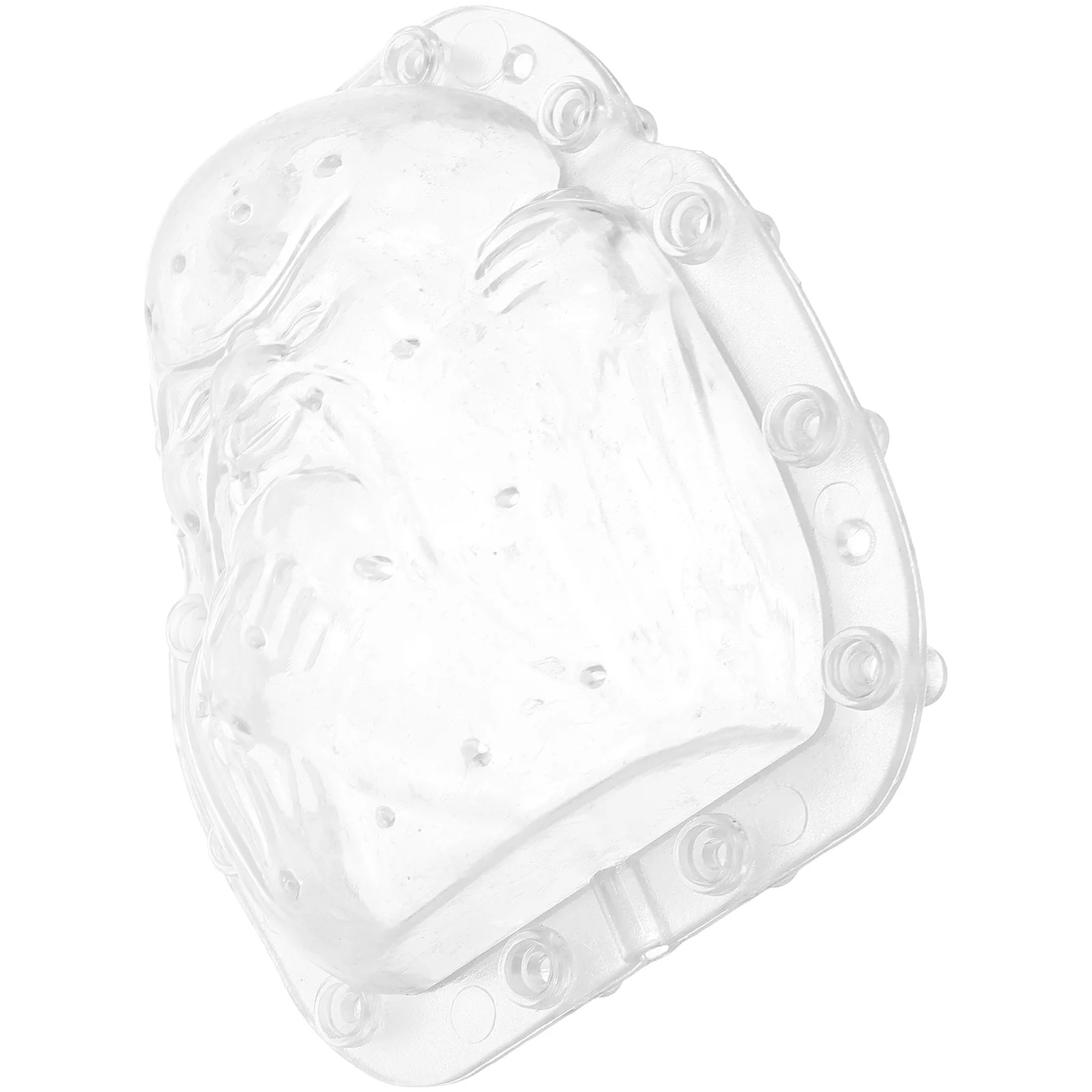 Fruit Shaping Mold Set Transparent Reusable Vegetable Growing Forming Tool for Garden Yard DIY Planting Creative Clear