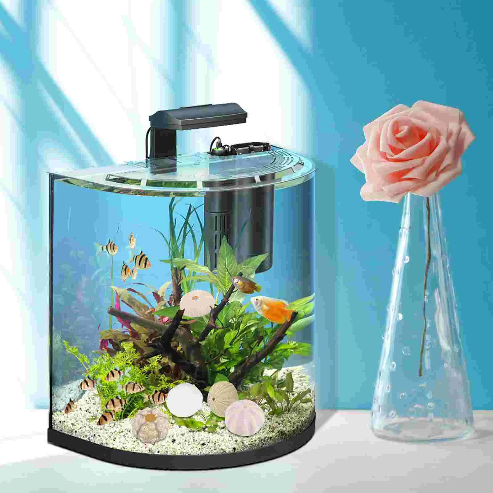 5-tlg. Meer ​ ​ Bengel Muschel DIY handgemachte Dekore Handwerk Home Aquarium Dekorationen Aquarium Zubehör Bonsai Desktop Ornamente