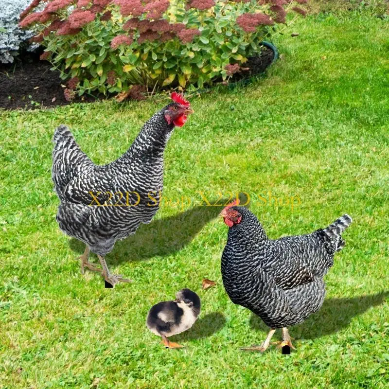 

X22D 3 ПК Жизненные петух курица курица акриловые кольцы животных