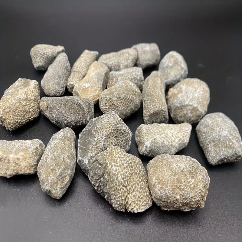1 Stück Natürlicher Korallenfelsen Geeignet für Aquarien & Fischbecken Natürliche Zufallsform Antiker Meeresstein Aquarium-Deko Terrarium