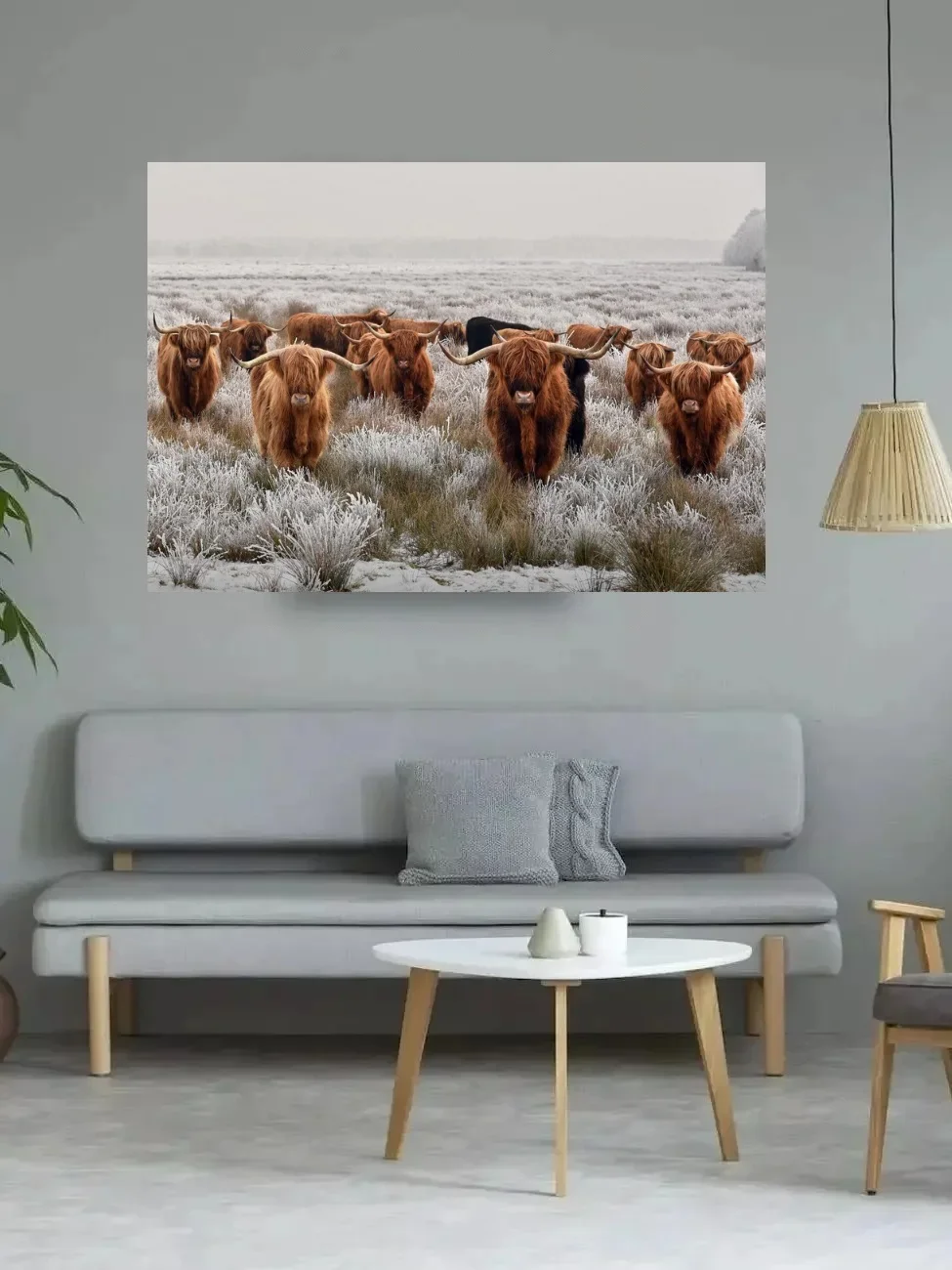 HERD HIGHLAND COWS, Art Picture Print Silk Poster,Home Wall Decor