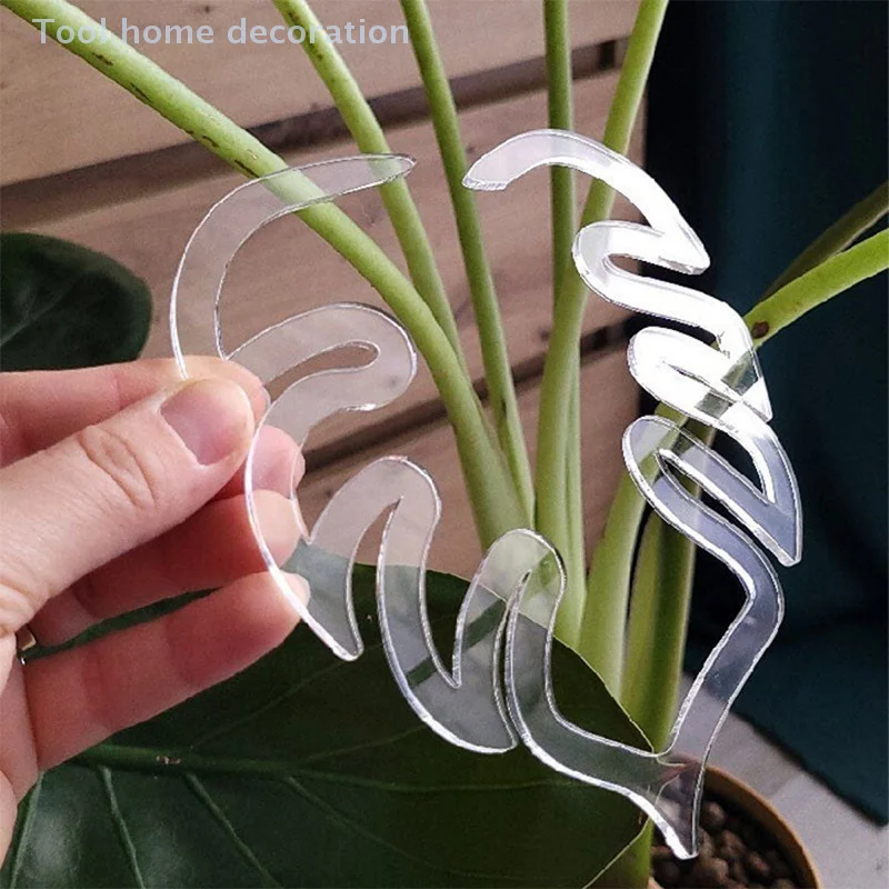 High-Quality Transparent Monstera Plant Stem Support; Durable Potted Plant Holder