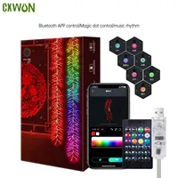 APP Control RGB Maroon LED Light Waterproof 2024 Spring Festival Decoration String Lamp DIY Picture Display Music Bluetooth