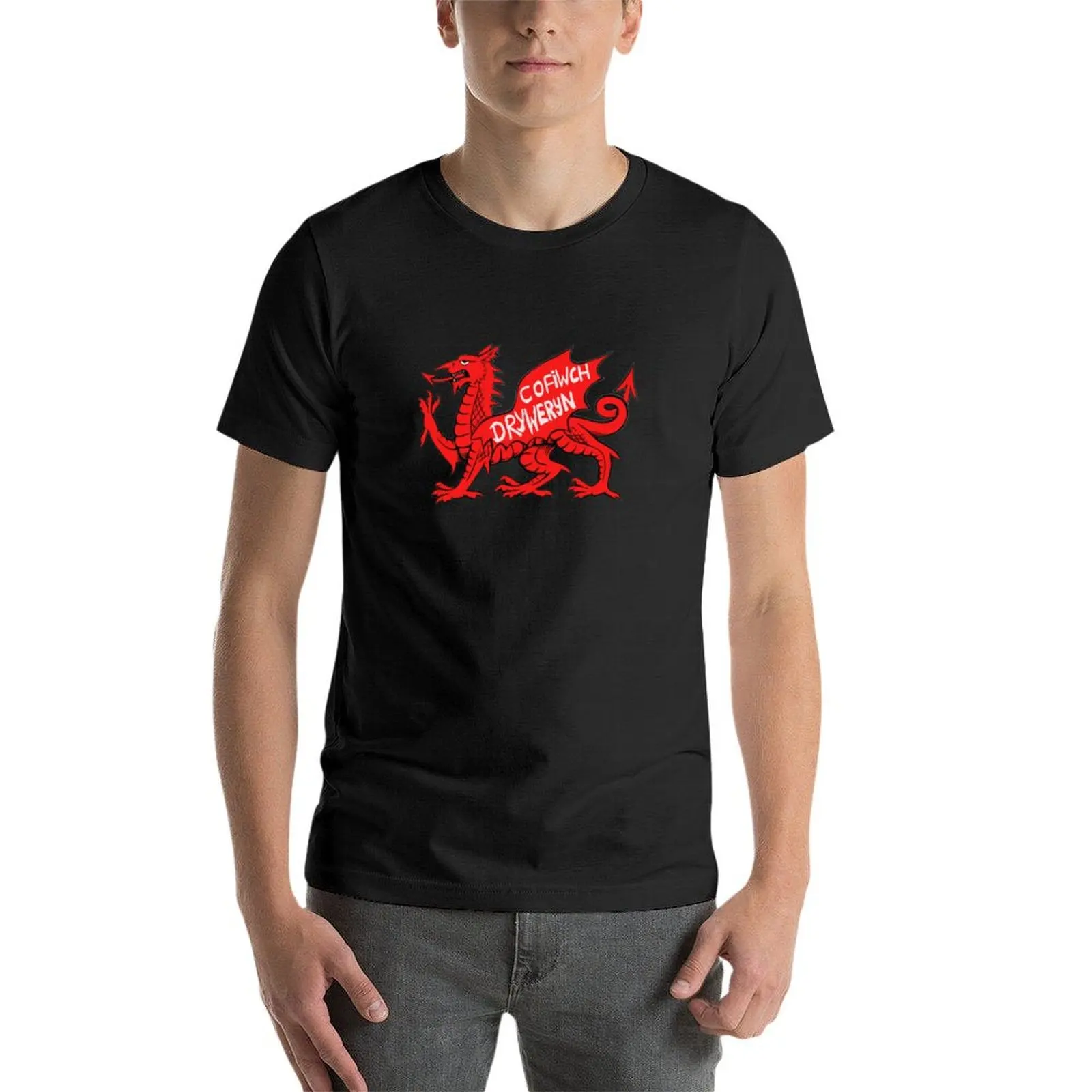 Cofiwch Dryweryn on the Welsh Dragon T-Shirt pour hommes, Économie surdimensionnés, Nouvelle édition, V2