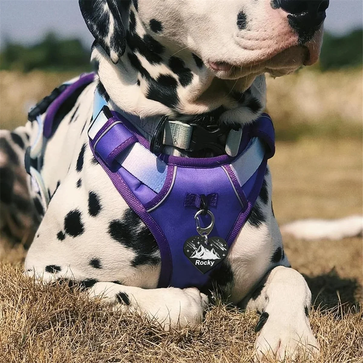 ABJS 24 حزمة Anodzied الألومنيوم الكلب العلامات الفراغات النقش بالليزر الفراغات القلب العلامات ختم الفراغات مع ثقب 1.25x1.06 بوصة