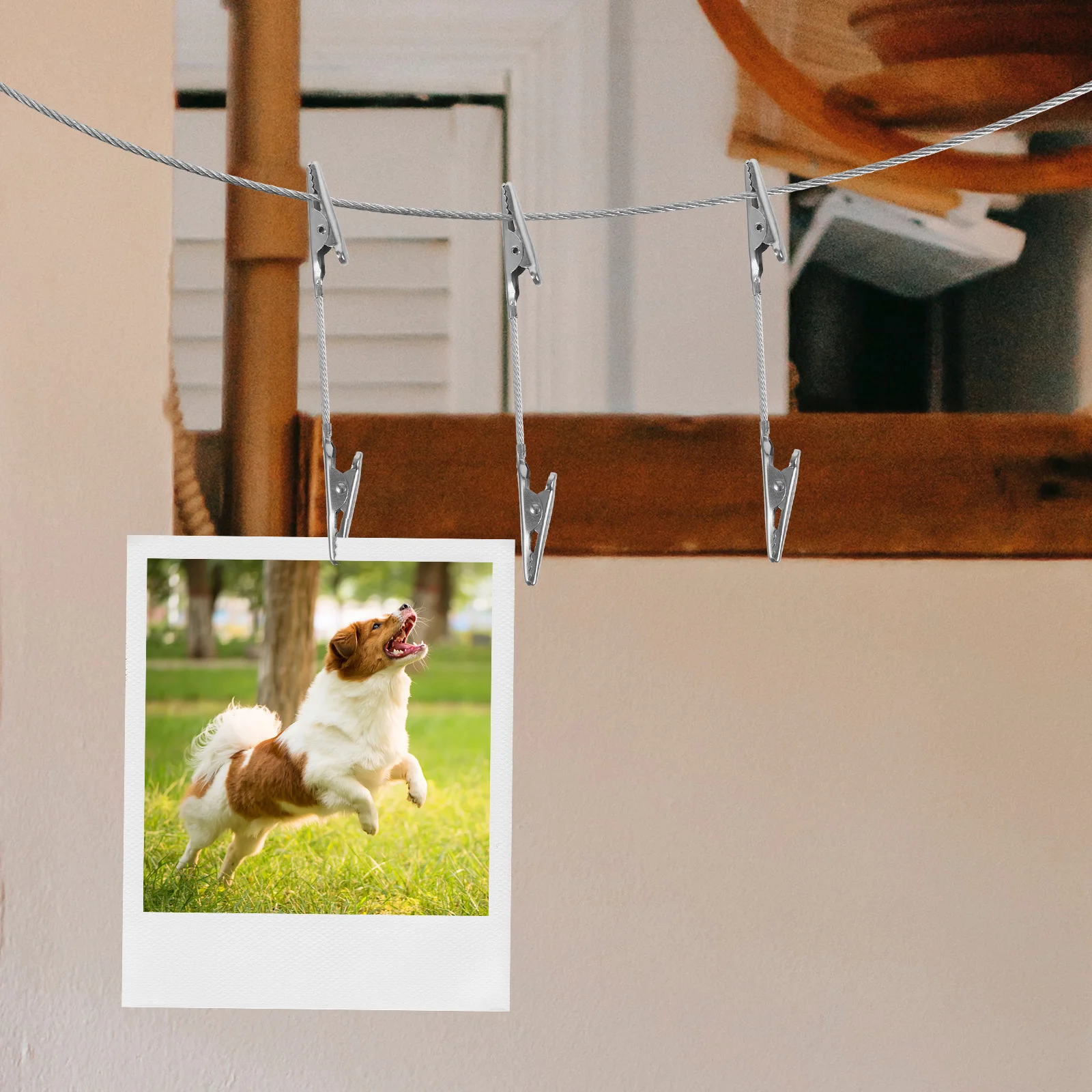 

1Set Double Ends Alligator Clips Photo Clip Holder Metal Wire Photo Display Cable Clamp Hanging Wire Wall Picture Clips for DIY