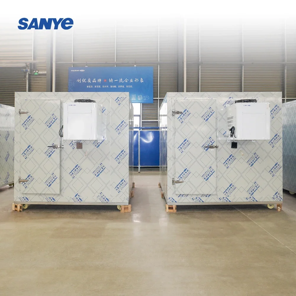 Room Cold Storage 20ft Mobile Container Storage Cold Room Freezer for Fish Vegetable Fruits Ice Cream Walk in Freezer
