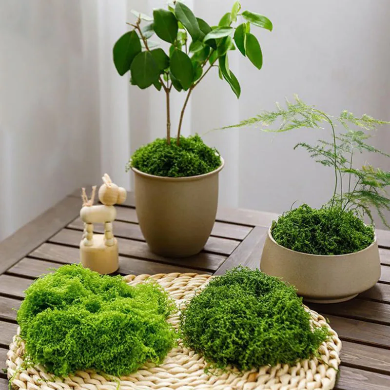 100 gram Artificial Moss Landscaping Fake Lawn Potted Plants Garden Ornament Bonsai Decoration DIY Accessories