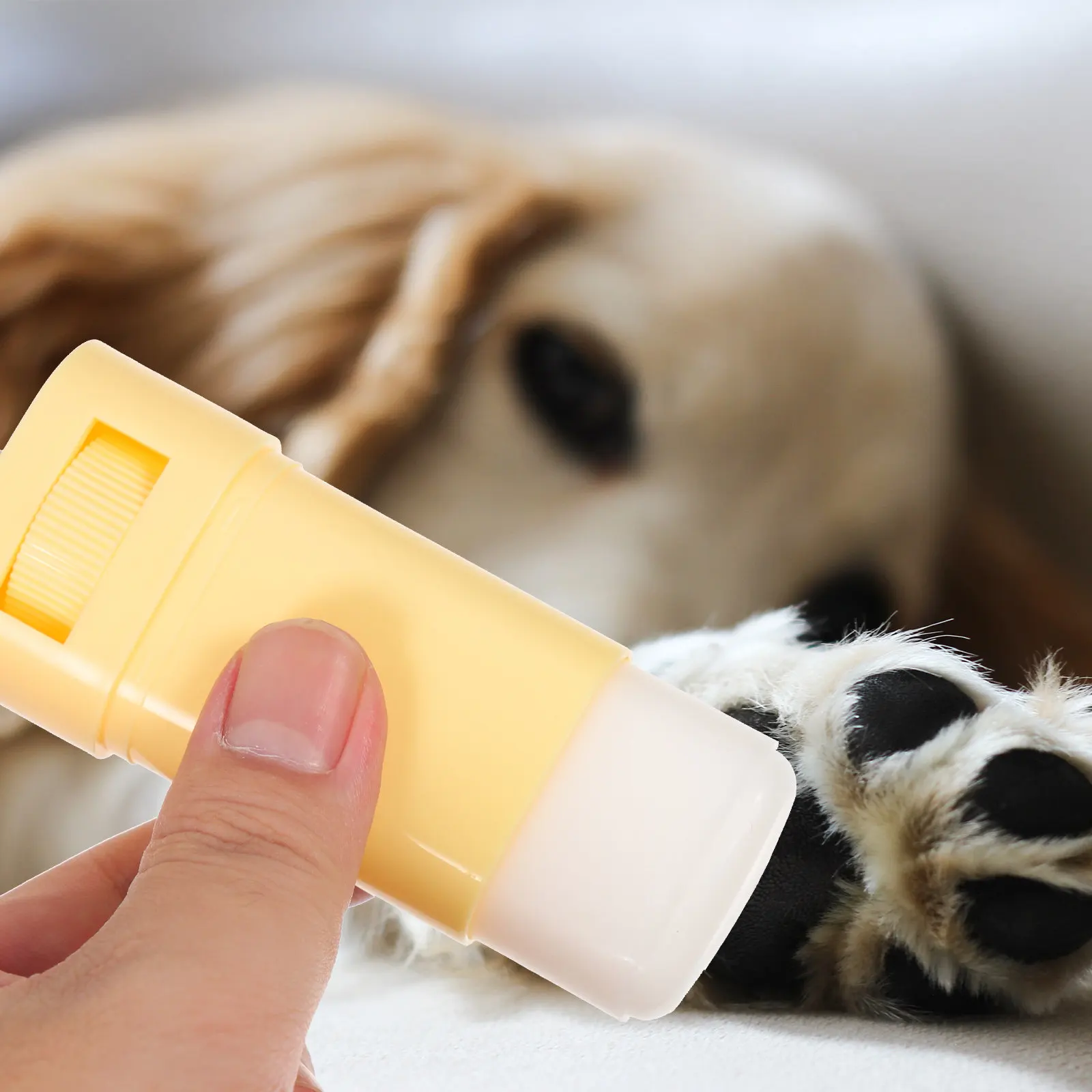 Dog Paw Balm Household Pet Paw Care Cream Nourishing Balm for Dry Cracked Paws Nose Elbow Dog Foot Moisturizer view 3