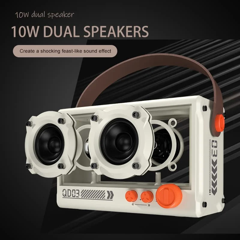 Punk Transparent TWS Stereo USB TF Card Playback Bluetooths Karaoke Speaker with Microphone