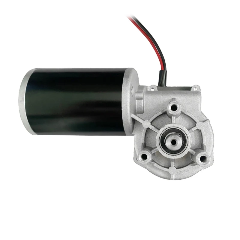 High Torque 100W 200W  High Torque 12V 24V Worm Gear Permanent Magnet Brushed Electrical DC Motor