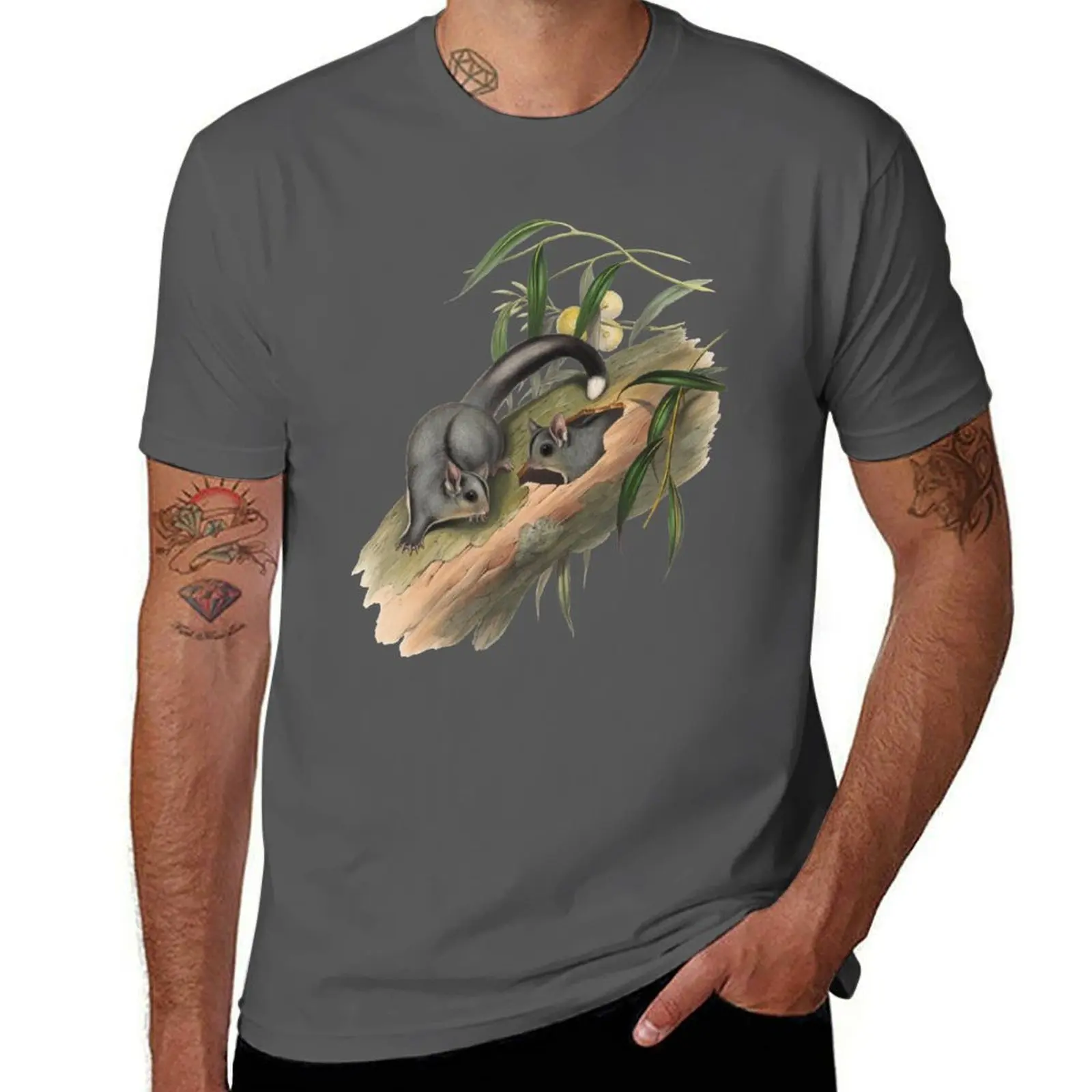 

Сахарные планеры-футболка Belideus Notatus, мужская футболка, тяжелые хлопковые футболки с аниме, мужские футболки большого размера, хлопковая футболка