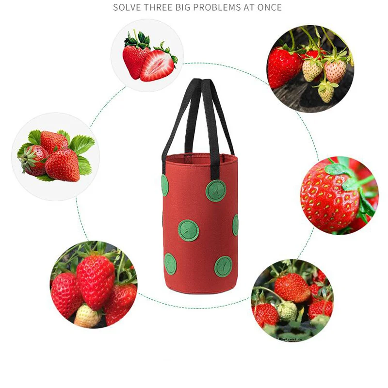 3 Gal 12 holes Strawberry grow pot bags Plants Flower Tomato Growing Garden wall Hanging Vegetable Root Planting Reusable Her