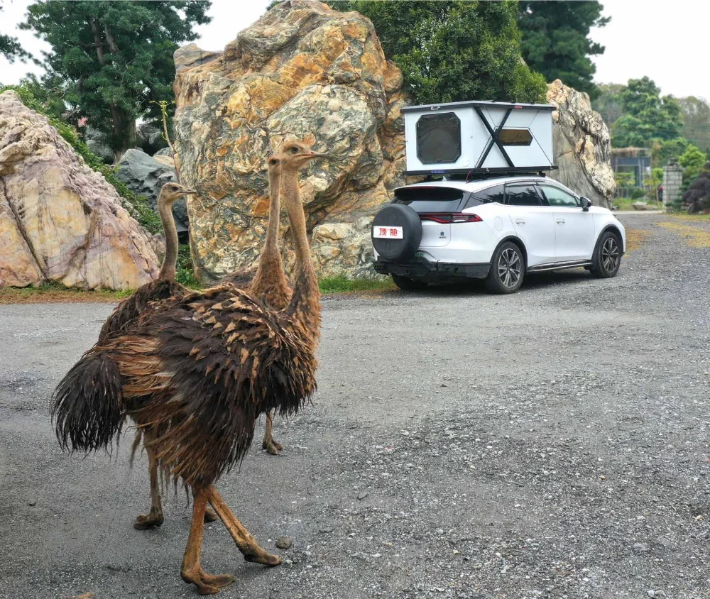 Nuovo camion esterno 600w campeggio solare camper rimorchio da viaggio automatico in alluminio 3-4 persone tetto per auto tenda da tetto tende da tetto a guscio duro