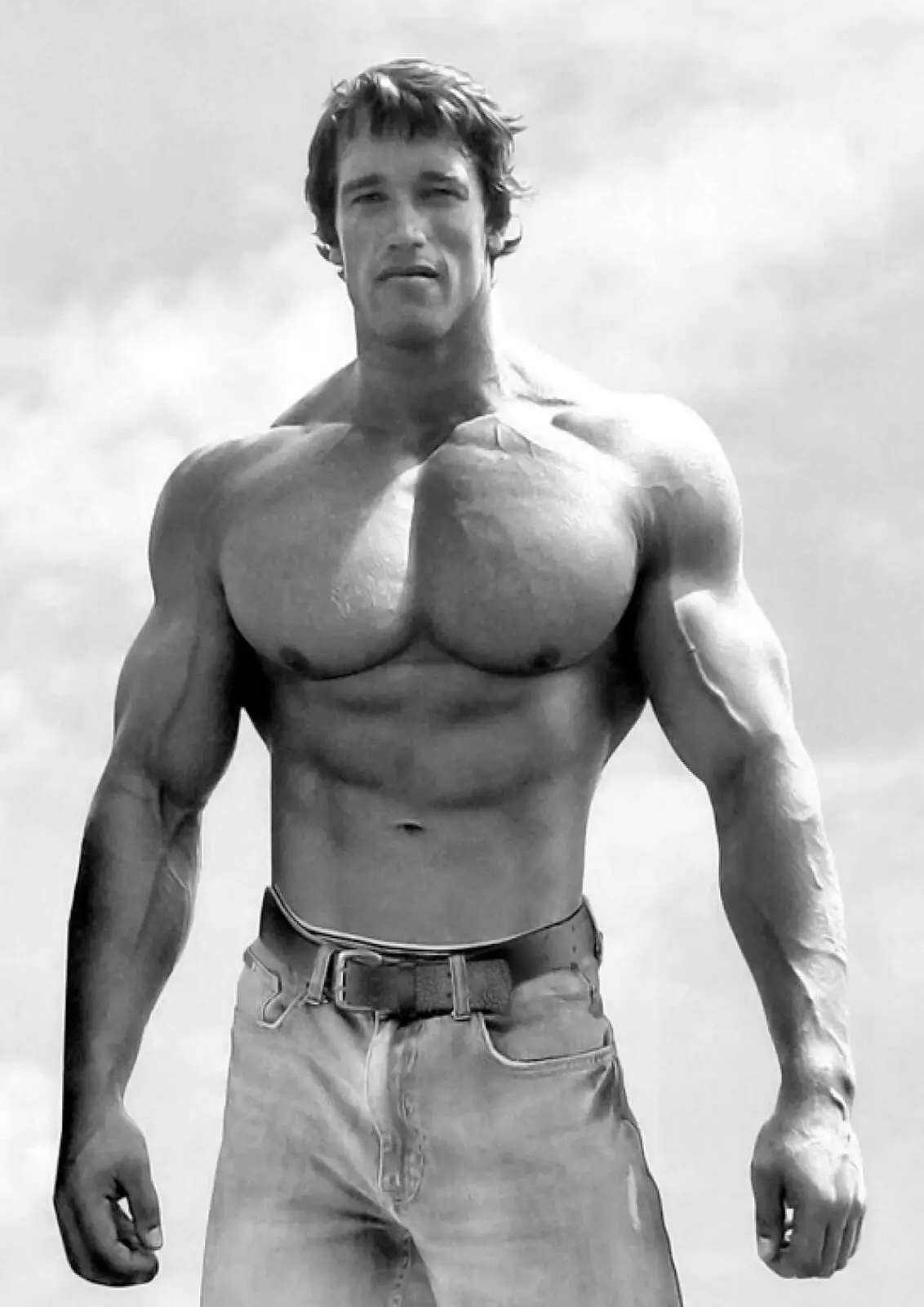 ARNIE SCHWARZENEGGER - Muscle, Art Picture Print Silk Poster, Home Wall Decor