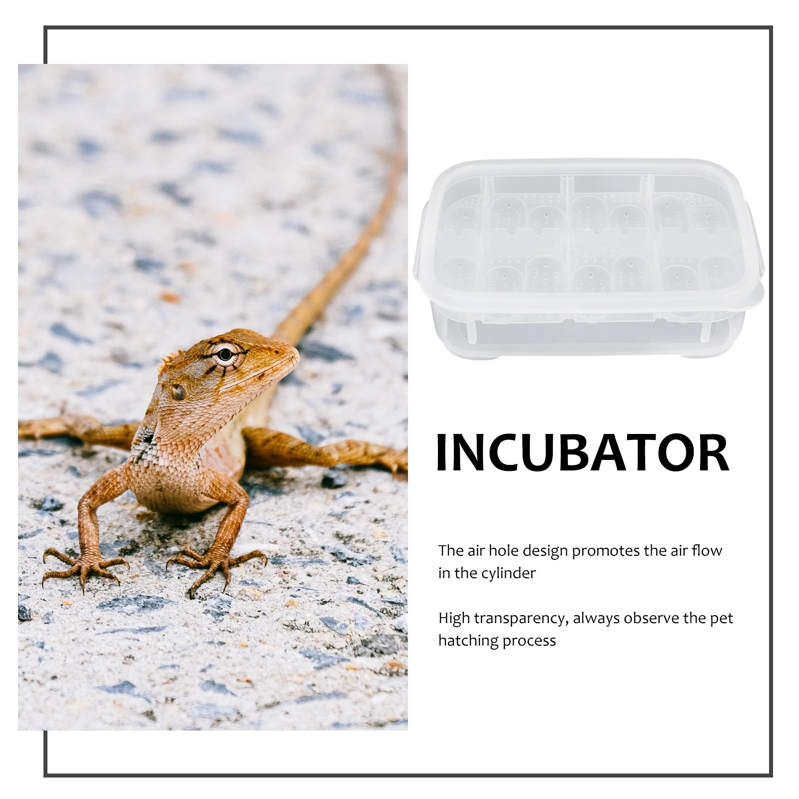 

Reptile Hatching Box Plastic Incubator for Snake Lizard Egg Breeding Lightweight Durable Easy Clean Professional Crawling