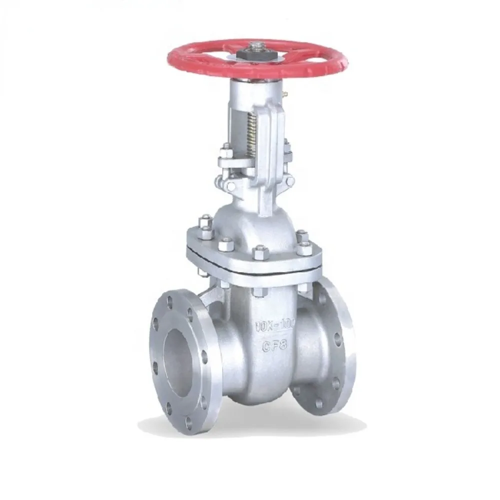 Vietnam region JIS Flange type stainless steel SCS13 10K gate valve