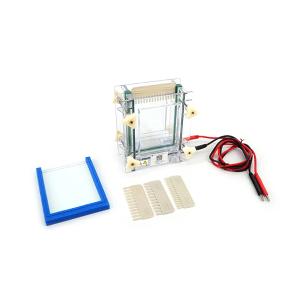 DYCZ-28B/D Single/Double Plate Sandwich Vertical Electrophoresis Apparatus (Large Size) Glass OEM Customizable 1700-2400ml