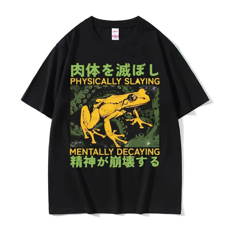Physically Slaying Mentally Decaying T Shirt Funny Japanese Style Frog Meme Tshirt Men Summer Print Frogs Casual O-collar Tshirt