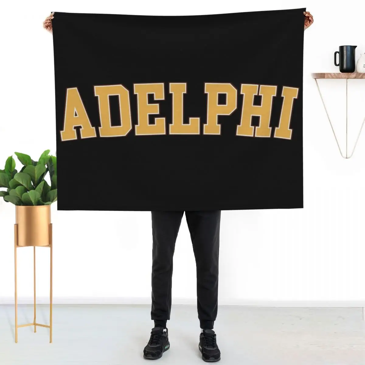 

adelphi university - college font curved Throw Blanket Fuzzy Plush Throw Blanket for Sofa Chair