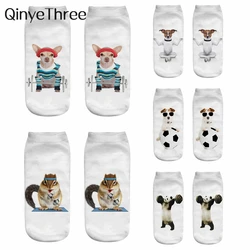 New Funny Sporty Cartoon Animal 3D Print calzini Fitness Panda scoiattolo cane sollevamento pesi Yoga ginnastica Skateboard Ball Games