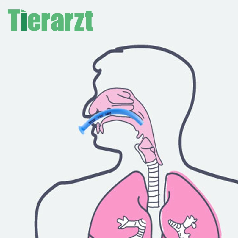 

Disposable Blue Nasopharyngeal Airway 3.0-8.5mm Medical Nasal Airway Emergency Airway Nasal Pharyngeal Duct First Aid Emergency