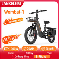 LANKELEISI Wombat-1 Adult Electric Bike 1000W 48V20AH City E-Bike 20 inch Fat fetus Non Foldable LCD Instrument Electric Bicycle