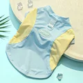 Yellow Blue