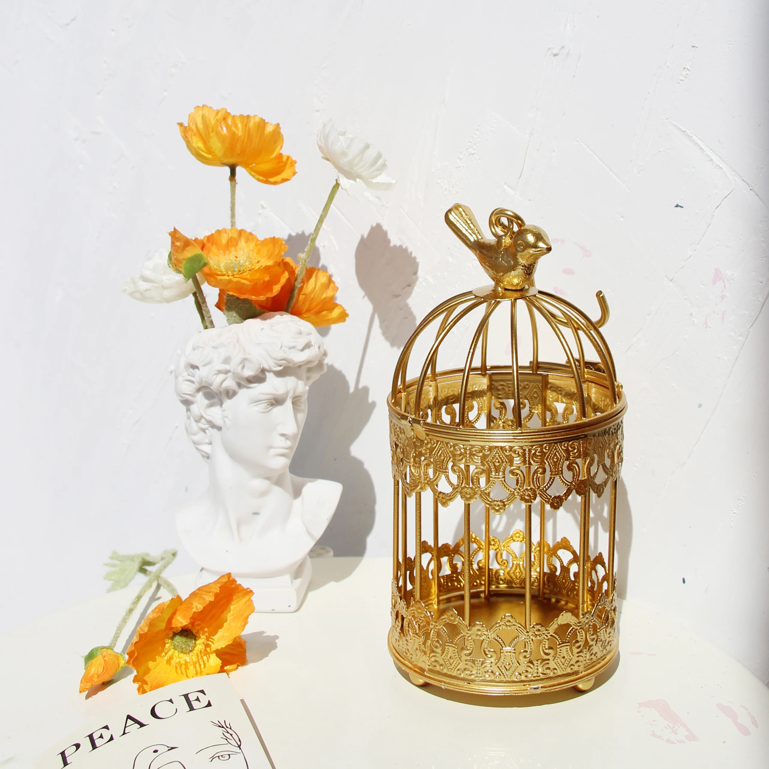 Modern iron wrought metal birdcage gold small middle Sets large bird cage decoration hanging flowerpot succulent plants