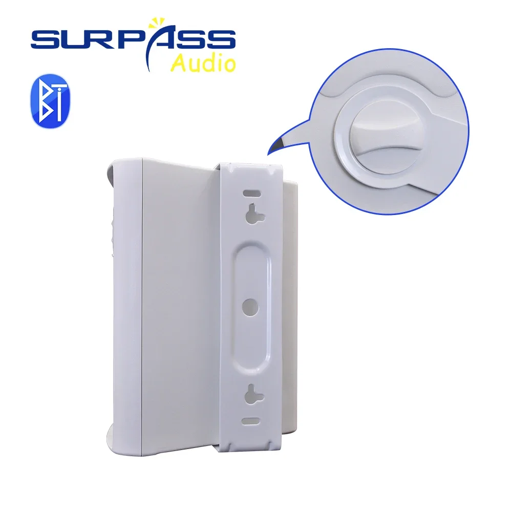 

High Quality Stereo Sound Surround Active Wall Speaker System