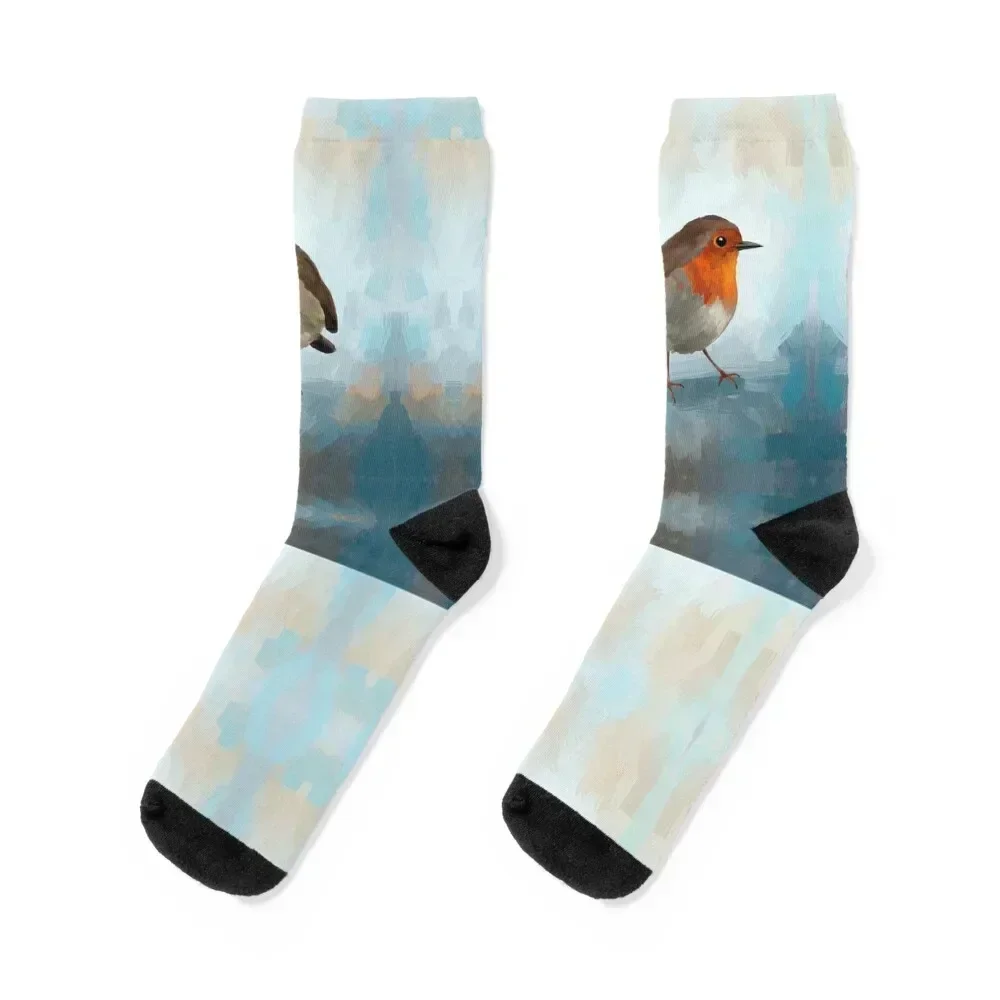 

Robin Socks Wholesale gift happy fashionable Socks Man Women's