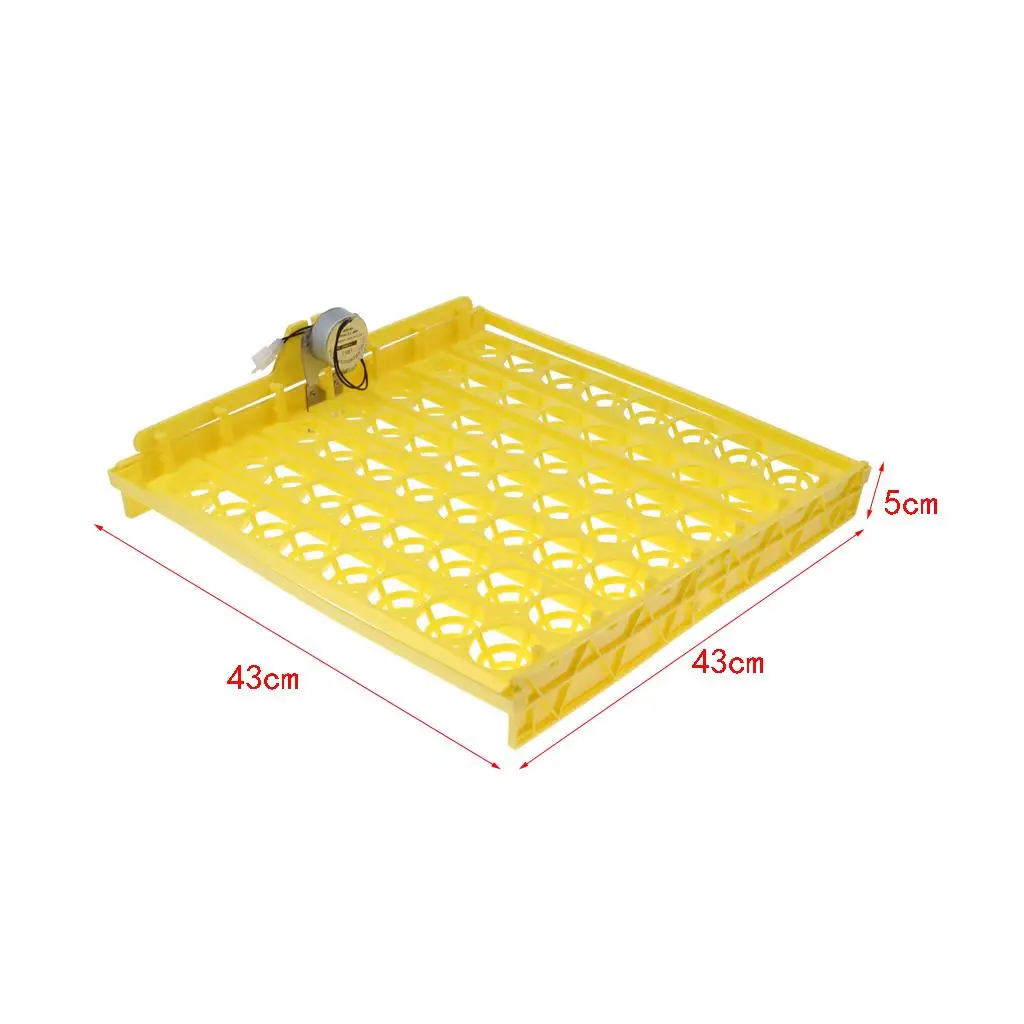 56 Chicken Duck Quail Goose Pigeon Bird Poultry Eggs Tray Motor Automatic Incubator ing Turner 110V