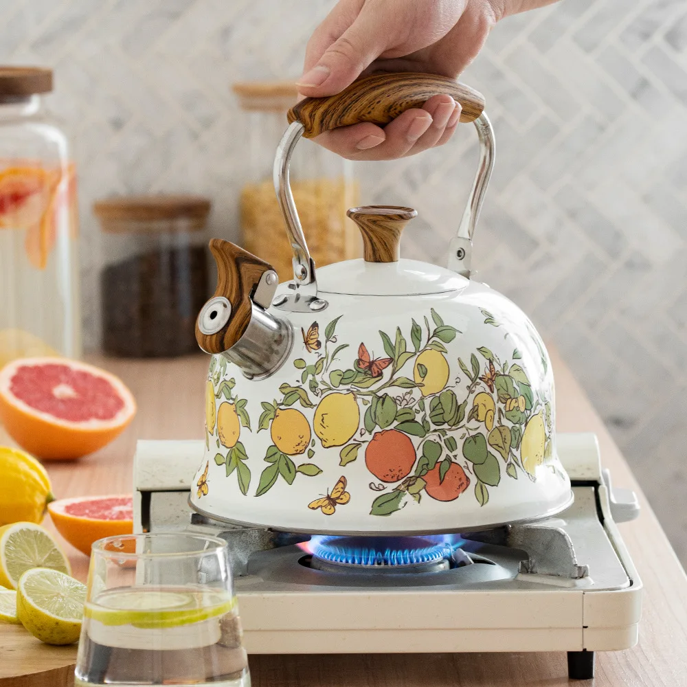 3L Stainless Steel Whistling Electric Kettle Auto Shut Off Boil Dry Protection Fast Heating Water Kettle with Loud Whistle Alarm