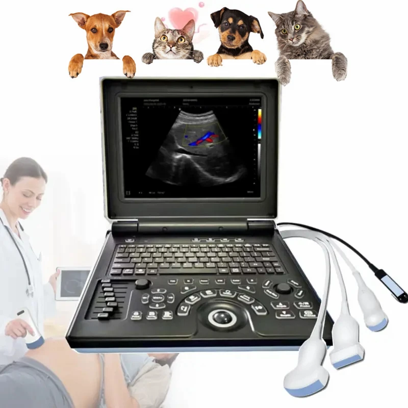 Small Big Animal Veterinary Pet 2D Notebook Color Doppler Ultrasound Diagnostic System