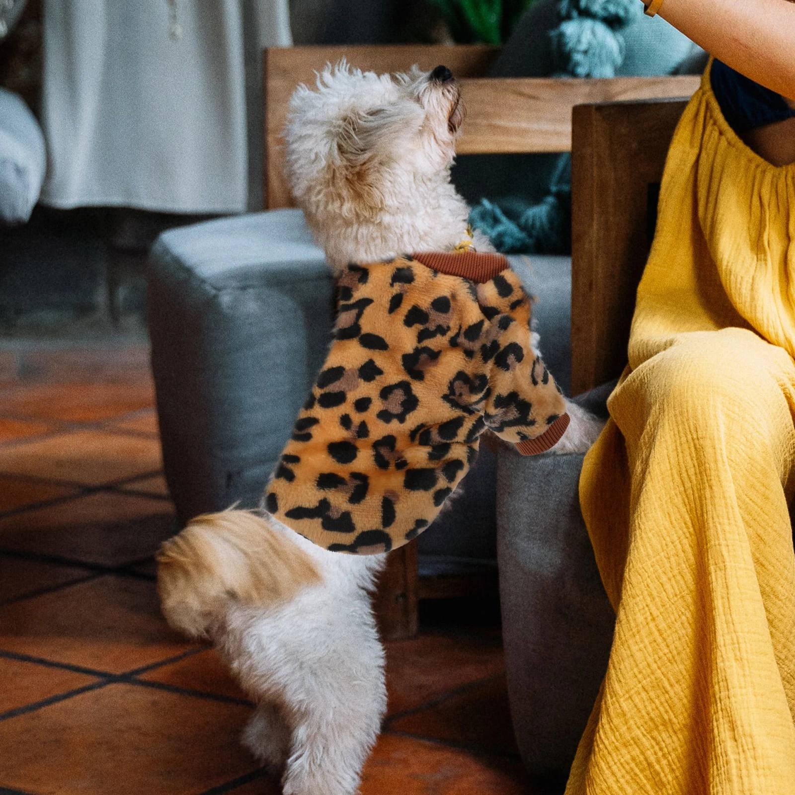 

Windproof Dog Sweater Puppy Coat Garments for Pets Dog's Clothes Dachshunds Coral Fleece Clothing
