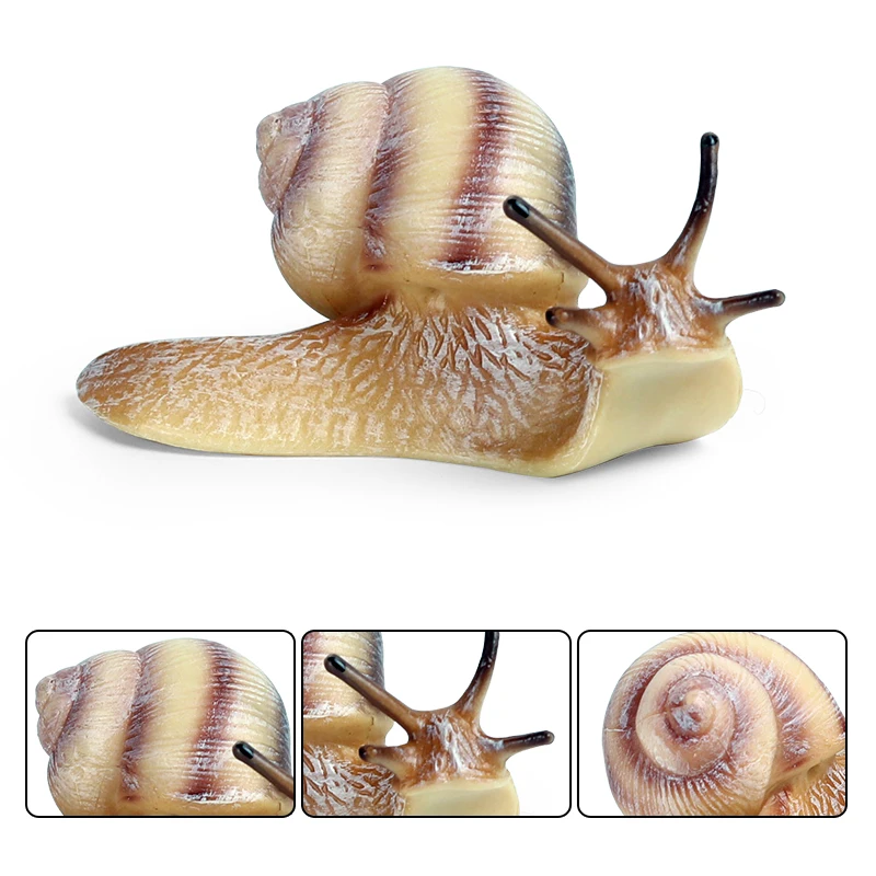 Oenux Wildes Insekt Tiere Schnecken Wachstumszyklus Modell Gartendekoration Figuren PVC Miniatur Niedliche Bildung Kinderspielzeug – Detail 9