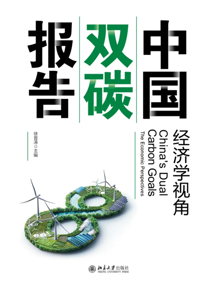 Book-Winshare China's Dual Carbon Report An Economic Perspective