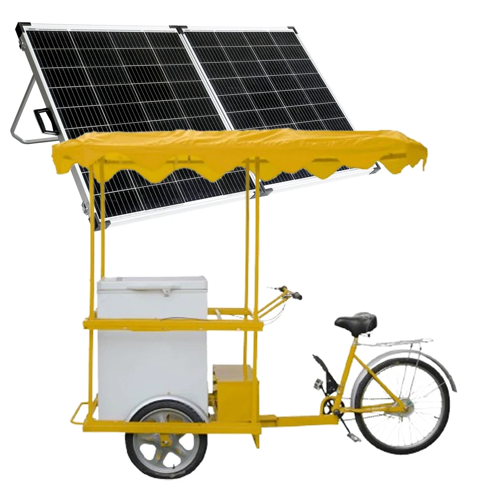 

Cheap Price Business Use Mobile Freezer Bike Ice Cream Cart Solar-power Ice Cream Tricycle Cart Ice Cream Electric Bike for Sale