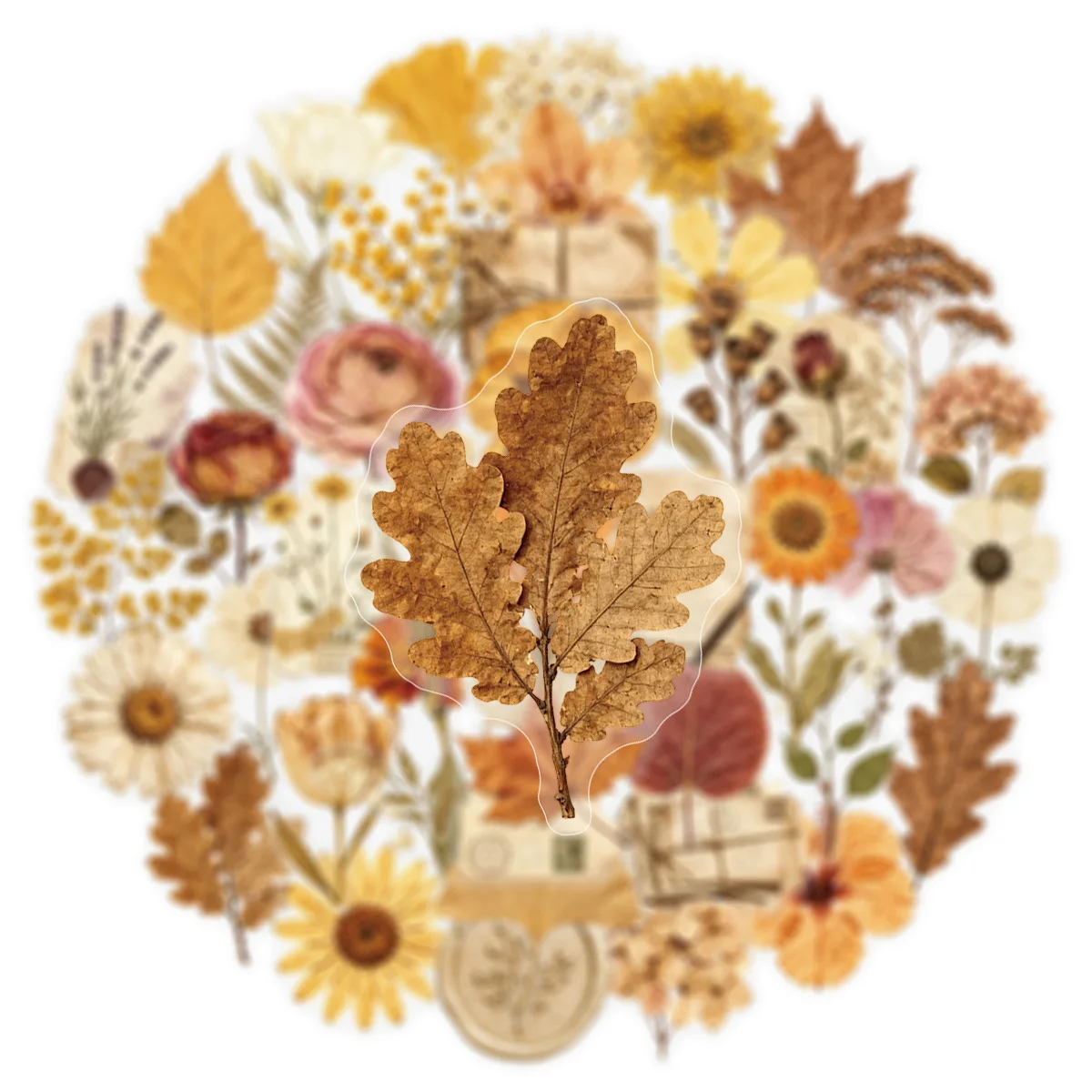 50-Pack Vintage Dried Flower Specimen Plant Dead Leaf Transparent PET Stickers Waterproof Decals for Guitar Notebook Stationery