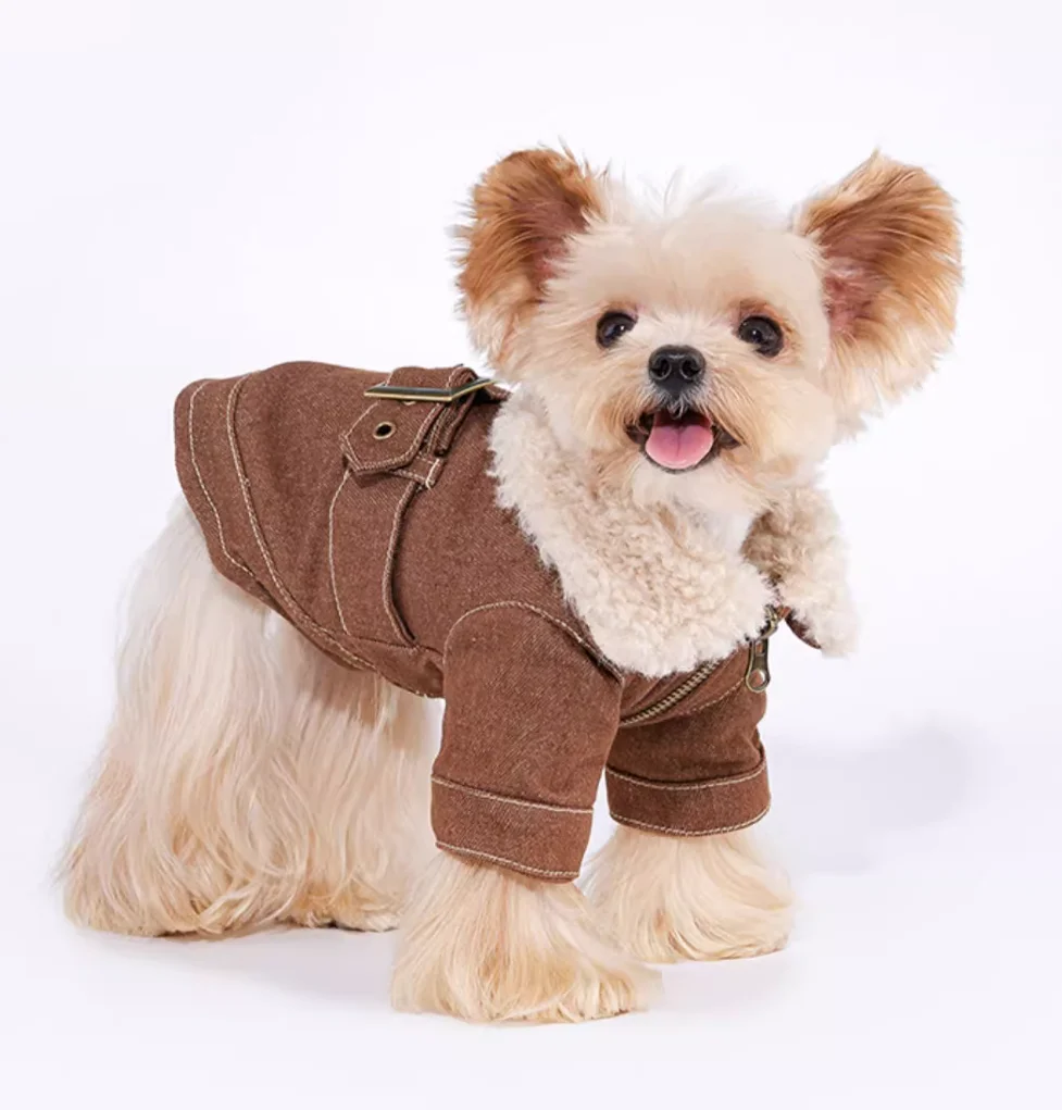 Warm Windproof Monochromatic Dog Coat, Cotton Designer Clothes for Large Dogs, Puppy Accessories, Winter