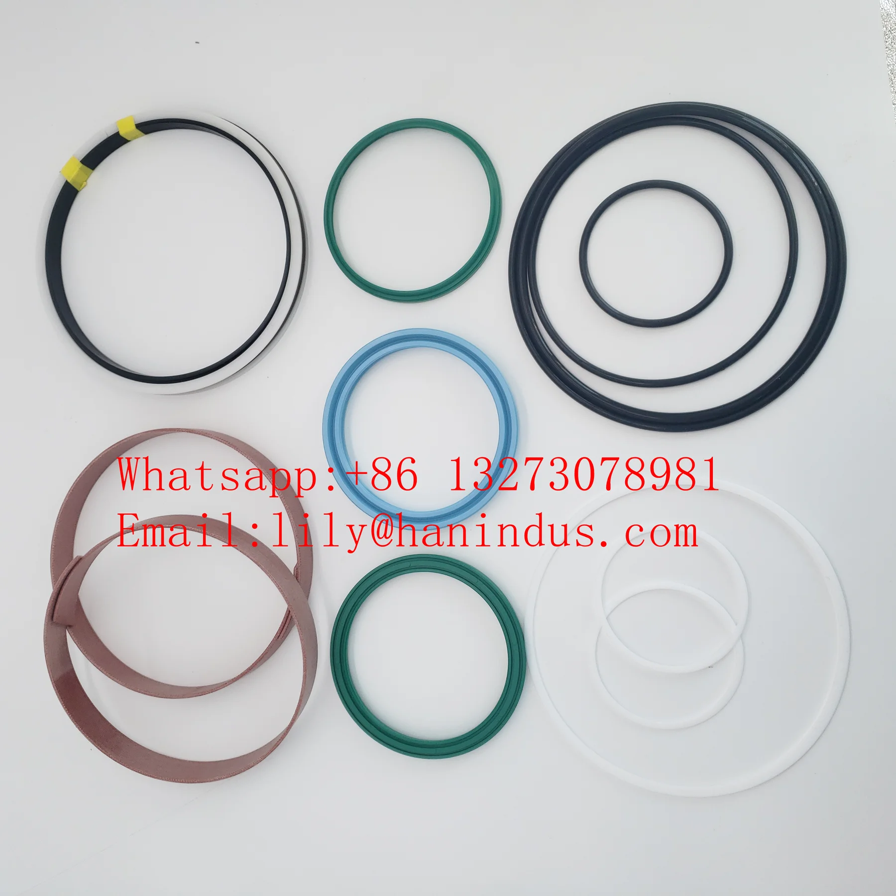 Zoomlion hydraulic seal kits  D120/220  OEM 001600001A0000184