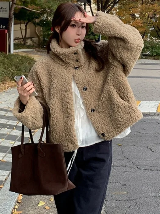 Coreano Sle Or Pelliccia di agnello Calore Capispalla Vestibilità ampia Colletto alla coreana Inverno da donna Nuovo bottone singolo Cappotto versatile