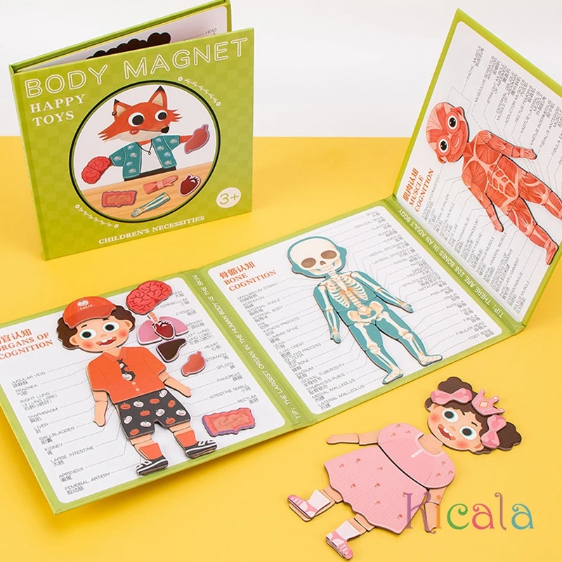 Bambini organi del corpo umano muscoli scheletro cognizione Puzzle magnetico giocattolo interattivo Montessori occupato libro Preshool giocattolo sensoriale