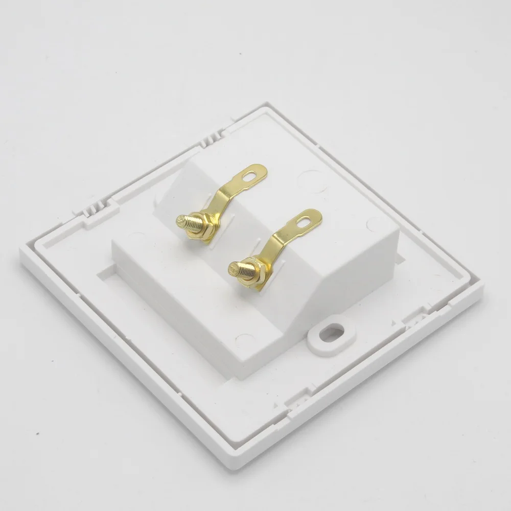 Two Position Speaker Panel 4mm Banana Socket Gold Plated Terminal Speaker Box Audio Panel Socket Outlet